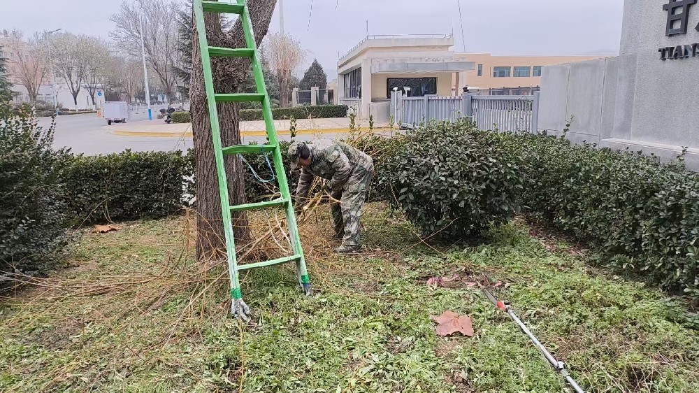 公用事業(yè)公司積極開(kāi)展樹(shù)木修剪、雜草清理工作